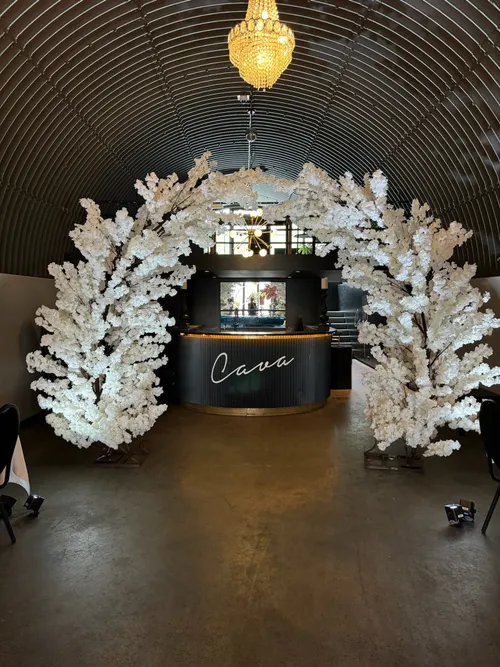 Hvítur Cherry blossom bogi