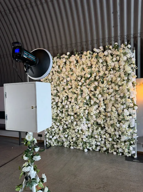 Premium blómabakgrunnur - Hvítur með grænum laufum