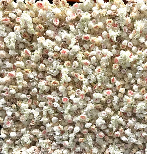 Premium blómabakgrunnur - hvítur og bleikur