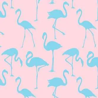 Flamingo 2