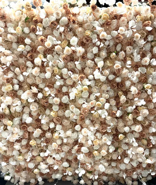 Premium blómabakgrunnur - Kampavíns/Beige