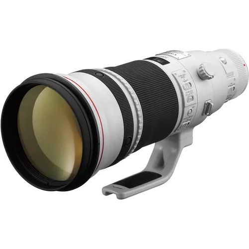 Canon EF 500mm / 4 L IS USM mark II