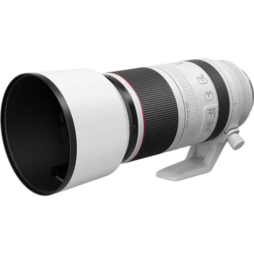 Canon RF 100-500mm / 4.5-7.1 L IS USM