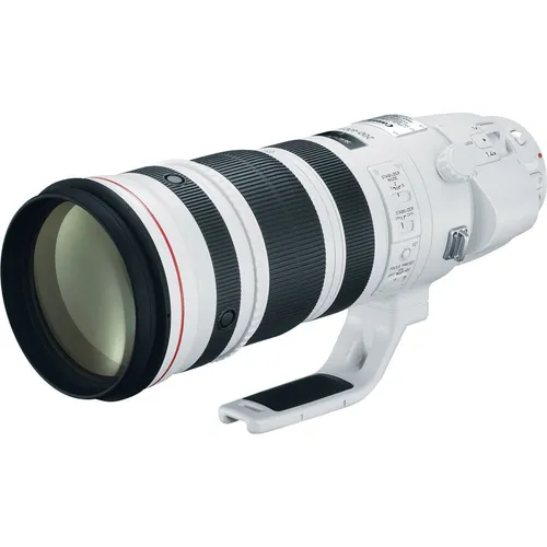 Canon EF 200-400mm / 4 L IS USM (extender 1.4x)