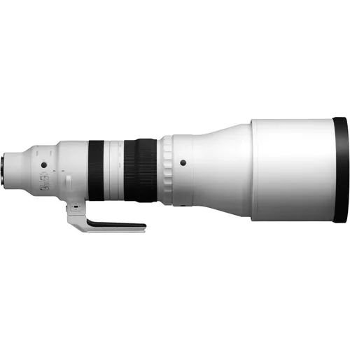 Sigma 300-600/ 4 DG DN OS (SPORT) (Sony)