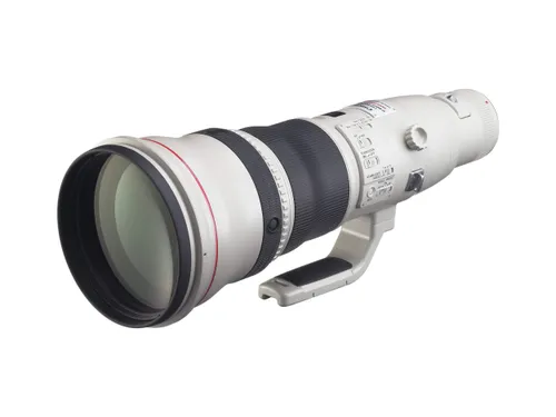 Canon EF 800mm / 5.6 L IS USM