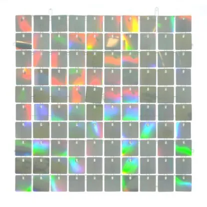 Holographic Silver Sequin Wall 