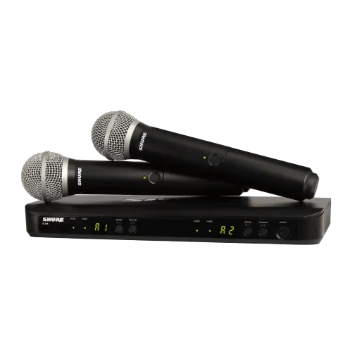 Shure Dual SM58 Wireless Mic