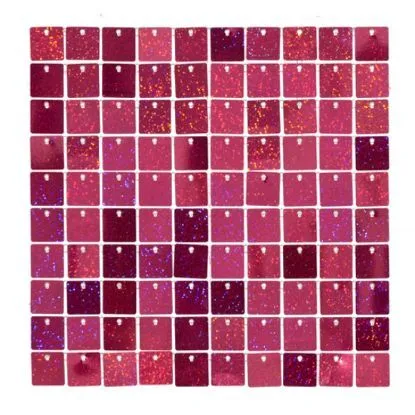 Fuscia Sequin Wall 