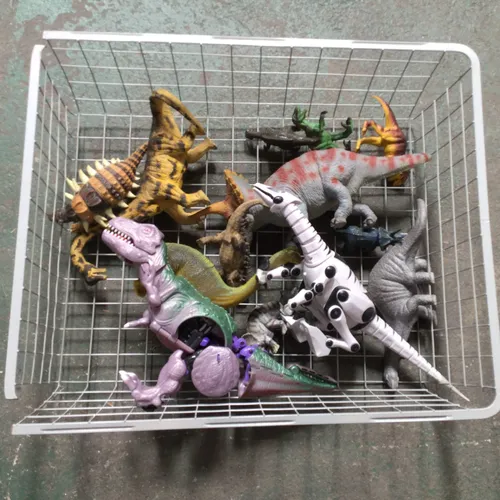 Various Dinosaur Toys