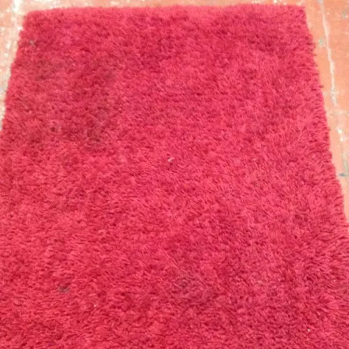 Shaggy Red Rug