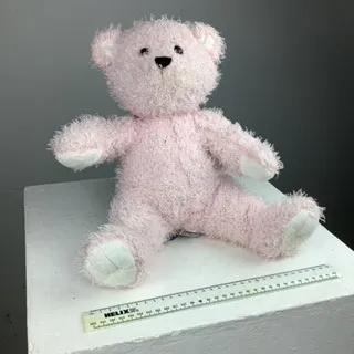 Pink Teddy Bear