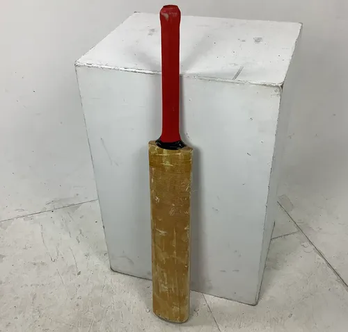 Cricket Bat with Red Handles and Details