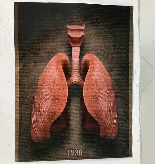 Black Brow and Pink 1938 Lung Poster