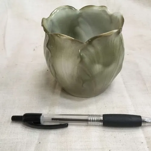 Green lettuce like plant pot