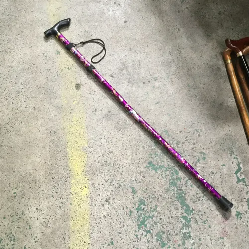 Purple and Black Walking Stick