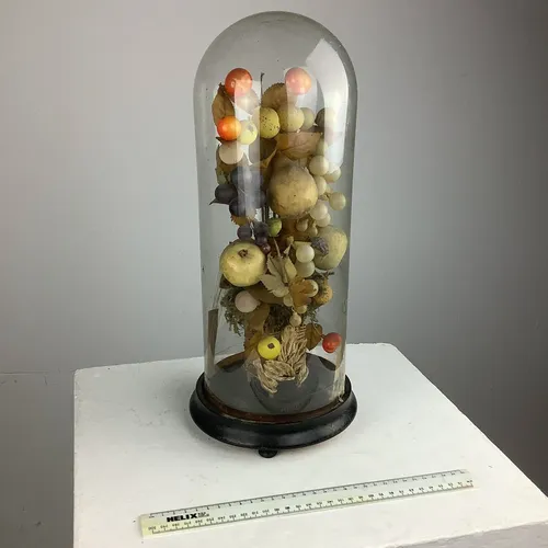 Period Waxed / Dried Fruit Display In Glass Dome / Cloche