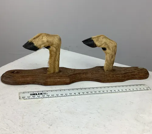 Pair of Taxidermy Deer Hoof Hooks 