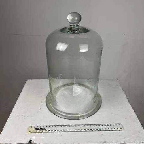 Large Glass Cloche