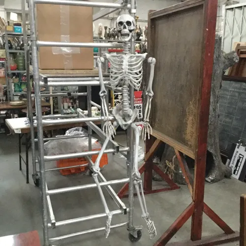 Hanging Posable Jointed Skeleton 