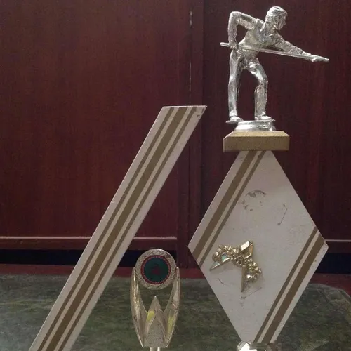 silver gold white wood pool snooker modern trophy