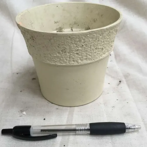Small cream plant pot