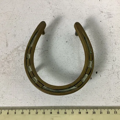 Rusted Horse Shoe
