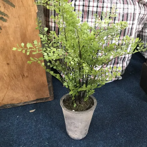 Artificial Potted Plant in Grey Pot