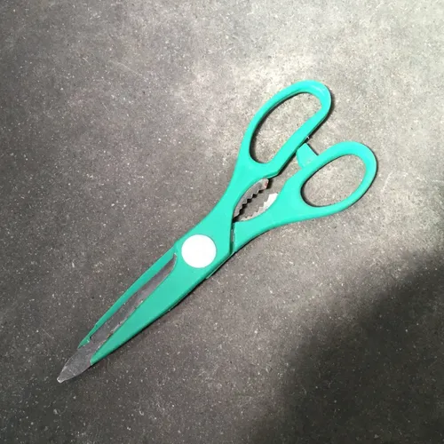 Green Plastic Handle Scissors