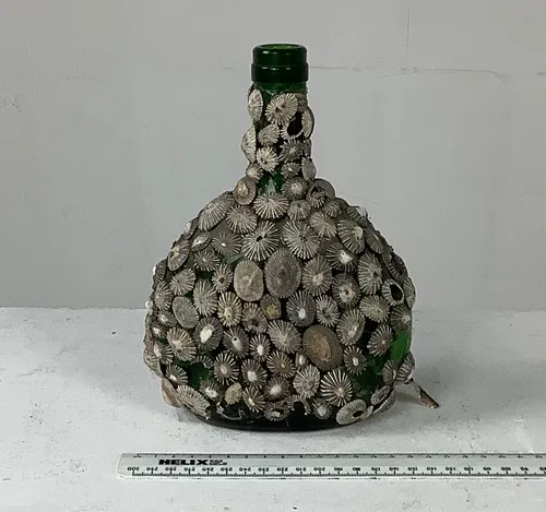 Green Glass Bottle Covered in Shells
