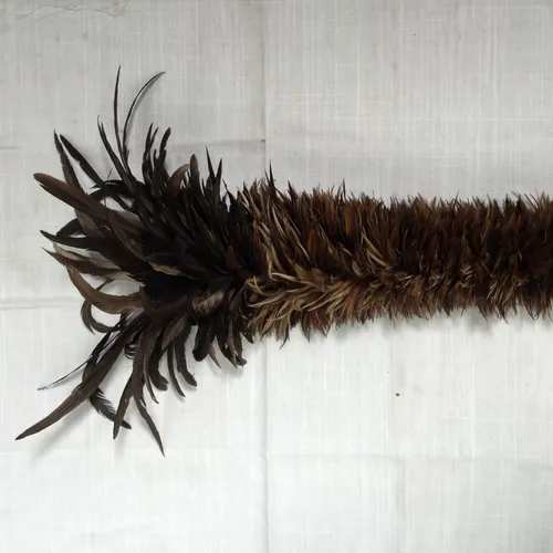 Feather duster 
