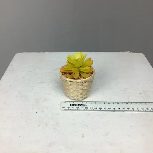 Yellow Plastic Succulent Wicker Basket