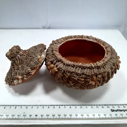 Shell covered terracotta pot with lid