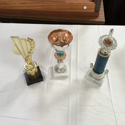 Assorted Trophies 