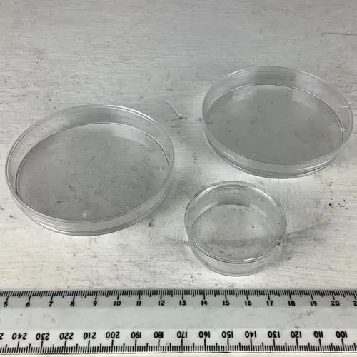 Petri dish (various sizes available) 