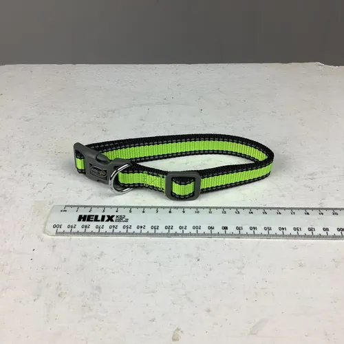 Nite-Glow Dog Collar