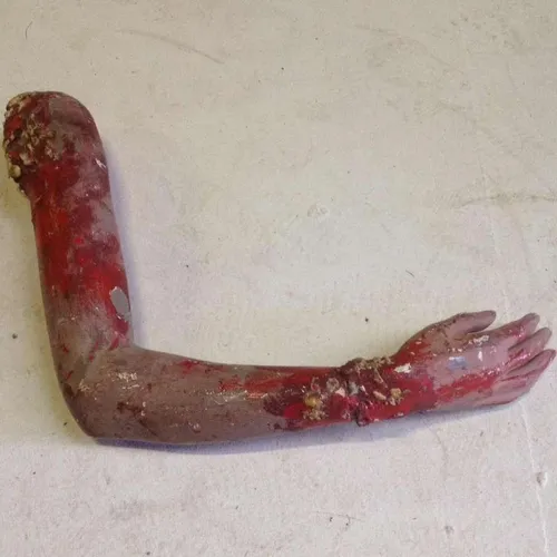 Severed Limb Full Arm With Blood