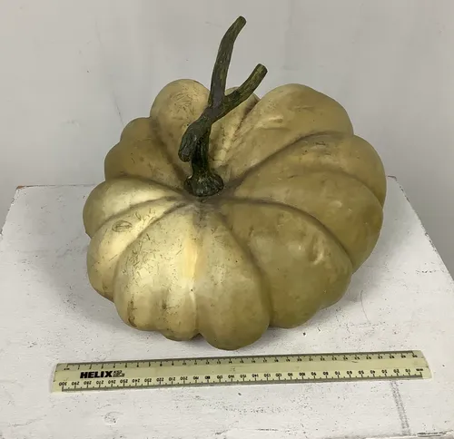 Prop / Dummy Squash