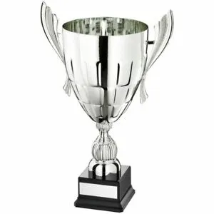 Large silver conical bowl with handles trophy 2