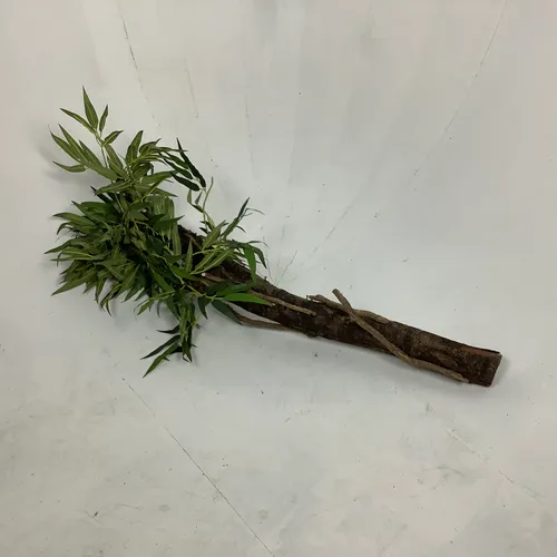 Short Thick Stem Artificial Plant 