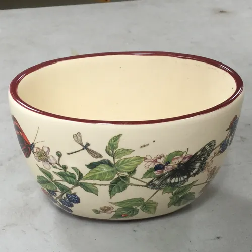 White bowl with butterfly and leaf design and red rim