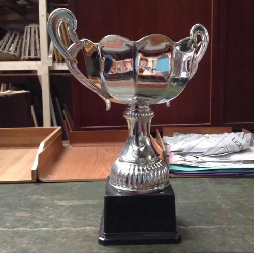 silver plastic cup shaped modern trophy