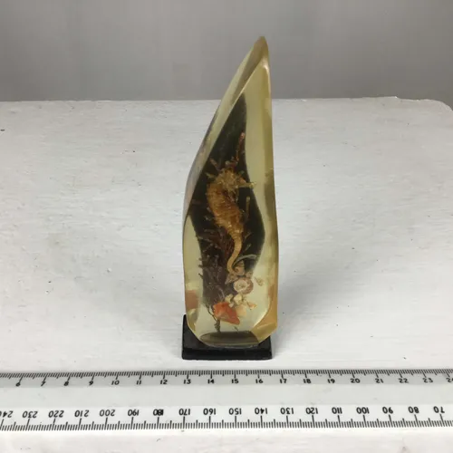 Period Resin Sea Horse Paperweight Ornament