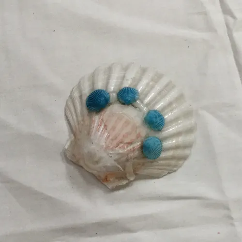 White Shell with Blue Decoration