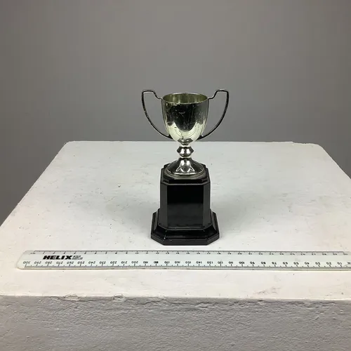 Silver Plastic Trophy/Award