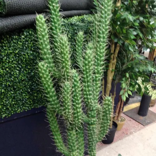 Fake plastic cactus plants