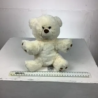 Small White Teddy Bear