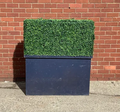 Artificial Hedge Box with Black Wooden Base