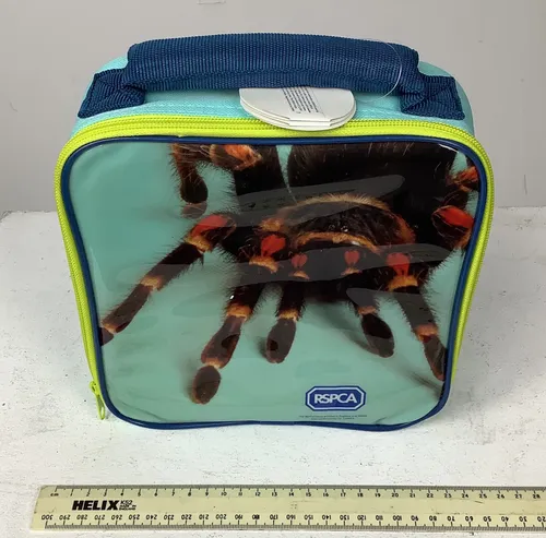 Blue RSPCA Tarantula Lunch bag / Box