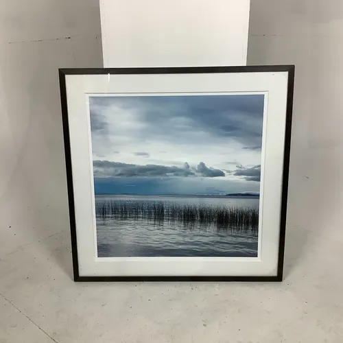 Square Reeds In Water Photographic Print in Black Frame